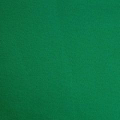 Patio Lane Terrers Polo Green Waterview Collection Upholstery Fabric
