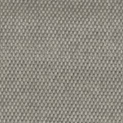 Tempotest Home Raffaello Smoke 50965/3 Upholstery Fabric