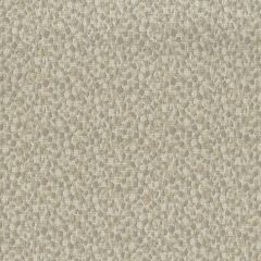 Tempotest Home Bocce Hemp 51446-5 Bel Mondo Collection Upholstery Fabric