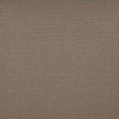 Tempotest Home Caravaggio Nickel 51608-2 Strutture Collection Upholstery Fabric