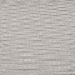 Tempotest Home Caravaggio Silver 51608-31 Strutture Collection Upholstery Fabric