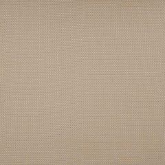Tempotest Home Caravaggio Latte 51608-36 Strutture Collection Upholstery Fabric