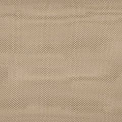 Tempotest Home Caravaggio Toast 51608-41 Strutture Collection Upholstery Fabric