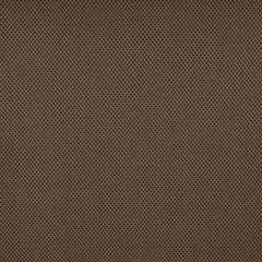 Tempotest Home Caravaggio Pecan 51608-6 Strutture Collection Upholstery Fabric
