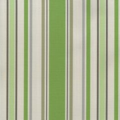 Tempotest Home Acapella Spring 51694-20 Foundations Bel Mondo Collection Upholstery Fabric