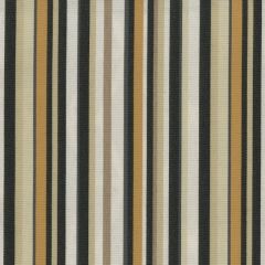 Tempotest Home Tivoli Burnish 51695-22 Bel Mondo Collection Upholstery Fabric