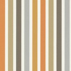 Tempotest Home Sorridere Autumn 5418-58 Fifty Four Vol II Collection Upholstery Fabric
