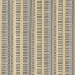 Tempotest Home Fredda Brindle 5420-926 Fifty Four Vol II Collection Upholstery Fabric