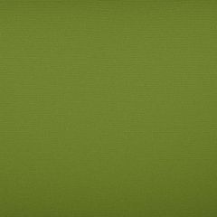 Tempotest Home Classic Lime Tweed 986-16 Solids Collection Upholstery Fabric