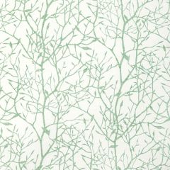 Kravet Basics Timber Top Grass -3 by Jeffrey Alan Marks Seascapes Collection Multipurpose Fabric