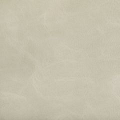 Kravet Contract Toni Tusk 1 Indoor Upholstery Fabric