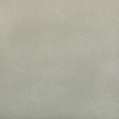 Kravet Contract Toni Limestone 101 Indoor Upholstery Fabric