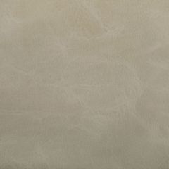 Kravet Contract Toni Dune 106 Indoor Upholstery Fabric