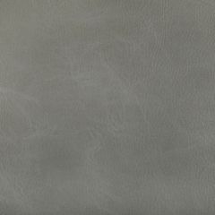 Kravet Contract Toni Spur 11 Indoor Upholstery Fabric