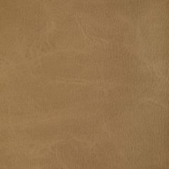 Kravet Contract Toni Moccasin 16 Indoor Upholstery Fabric