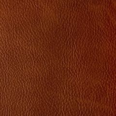 Kravet Contract Toni Mesa 24 Indoor Upholstery Fabric