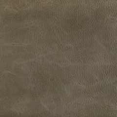 Kravet Contract Toni Field 6 Indoor Upholstery Fabric