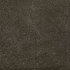 Kravet Contract Toni Rustler 66 Indoor Upholstery Fabric