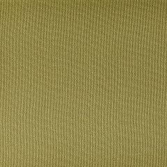Kravet Contract Ventura Endive 23 Foundations / Value Collection Indoor Upholstery Fabric