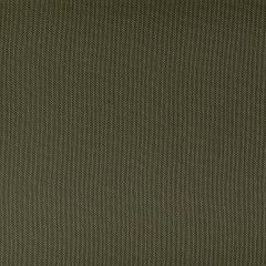 Kravet Contract Ventura Cactus 3 Foundations / Value Collection Indoor Upholstery Fabric