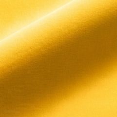 Old World Weavers Linley Sunflower VP 13031002 Essential Velvets Collection Indoor Upholstery Fabric