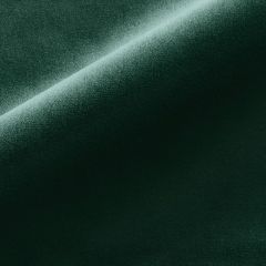 Old World Weavers Linley Bottle Green VP 67261002 Essential Velvets Collection Indoor Upholstery Fabric