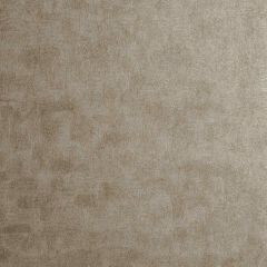 Clarke and Clarke Chinchilla Antique 005401 Reflections Collection Wall Covering