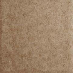 Clarke and Clarke Chinchilla Copper 005402 Reflections Collection Wall Covering