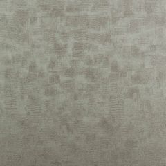 Clarke and Clarke Chinchilla Pewter 005404 Reflections Collection Wall Covering