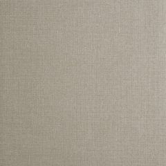 Clarke and Clarke Nico Antique 005701 Reflections Collection Wall Covering