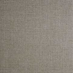 Clarke and Clarke Nico Bronze 005702 Reflections Collection Wall Covering