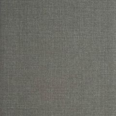 Clarke and Clarke Nico Granite 005703 Reflections Collection Wall Covering