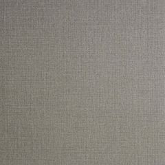 Clarke and Clarke Nico Pewter 005706 Reflections Collection Wall Covering