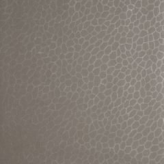 Clarke and Clarke Playa Atmosphere 005802 Reflections Collection Wall Covering