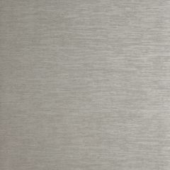 Clarke and Clarke Quartz Pewter 005907 Reflections Collection Wall Covering