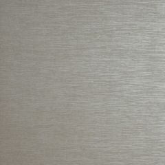 Clarke and Clarke Quartz Taupe 005910 Reflections Collection Wall Covering