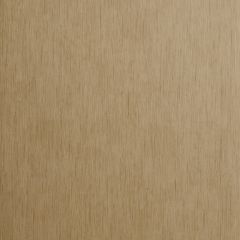 Clarke and Clarke Rafi Bamboo 006001 Reflections Collection Wall Covering