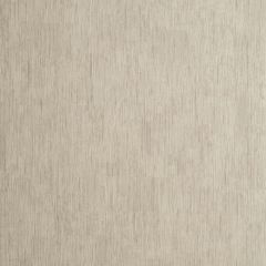 Clarke and Clarke Rafi Taupe 006010 Reflections Collection Wall Covering