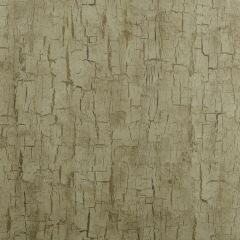 Clarke and Clarke Tree Bark Antique 006201 Reflections Collection Wall Covering