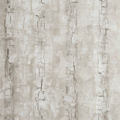 Clarke and Clarke Tree Bark Birch 006202 Reflections Collection Wall Covering