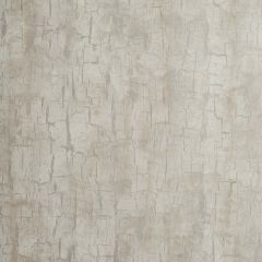 Clarke and Clarke Tree Bark Parchment 006203 Reflections Collection Wall Covering
