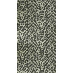 Clarke and Clarke Felis Charcoal / Gold 011502 Wilderie By Emma J Shipley For CandC Collection Wall Covering