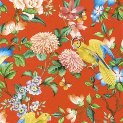 Clarke and Clarke Golden Parrot Wp Coral 013001 Botanical Wonders Wallpaper Collection Wall Covering