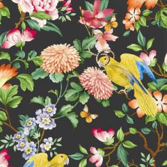 Clarke and Clarke Golden Parrot Wp Noir 013004 Botanical Wonders Wallpaper Collection Wall Covering