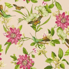 Clarke and Clarke Pink Lotus Wp Blush 013201 Botanical Wonders Wallpaper Collection Wall Covering