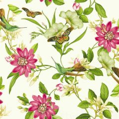 Clarke and Clarke Pink Lotus Wp Ivory 013202 Botanical Wonders Wallpaper Collection Wall Covering