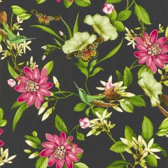 Clarke and Clarke Pink Lotus Wp Noir 013203 Botanical Wonders Wallpaper Collection Wall Covering