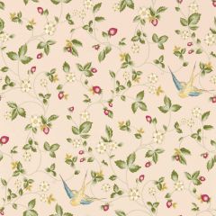 Clarke and Clarke Wild Strawberry Wp Blush 013501 Botanical Wonders Wallpaper Collection Wall Covering
