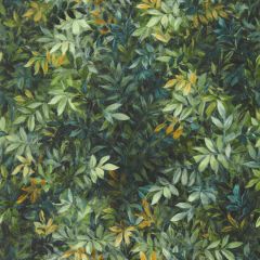 Clarke and Clarke Congo Forest Wp 014003 Exotica 2 Luxury Wallcovering Collection Wall Covering