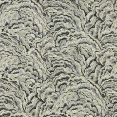 Clarke and Clarke Lumino Noir / Gilver Wp 014205 Exotica 2 Luxury Wallcovering Collection Wall Covering